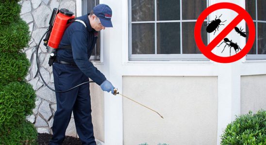 Dikmen Karınca İlaçlama böcek ilaçlama ve haşere kontrolü — ilaclama-tr.com